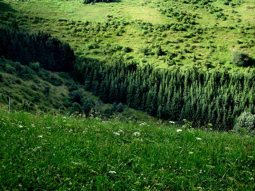 Foza - altopiano di Asiago 7 Comuni