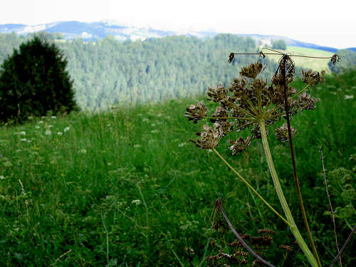 Foza - altopiano di Asiago 7 Comuni