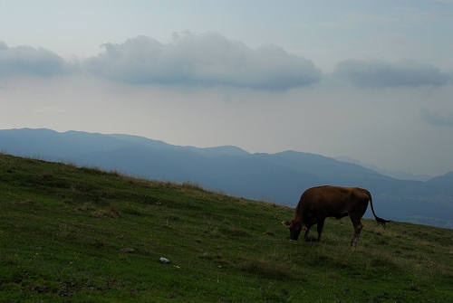 LOngara alle Melette di Gallio - Altopiano di Asiago