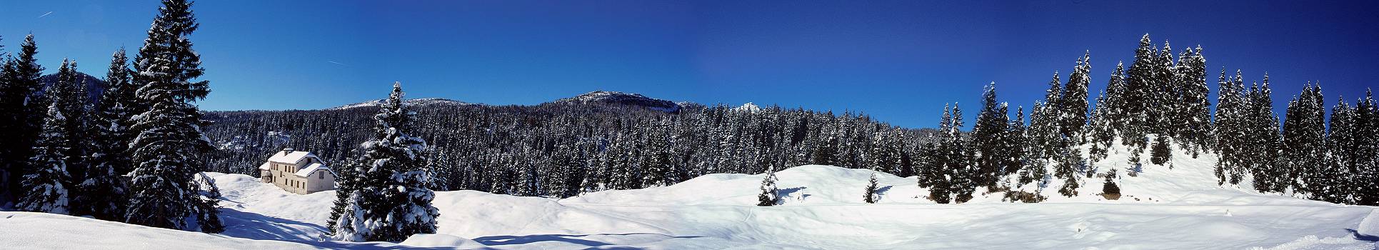 Bosco Secco, Campomulo, Gallio - fotografia panoramica