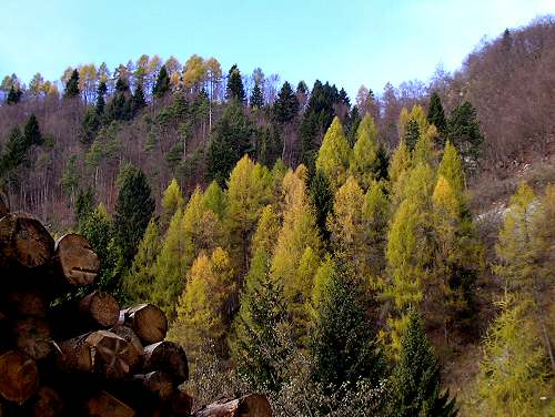 Stoccareddo di Gallio