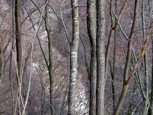 Stoccareddo di Gallio