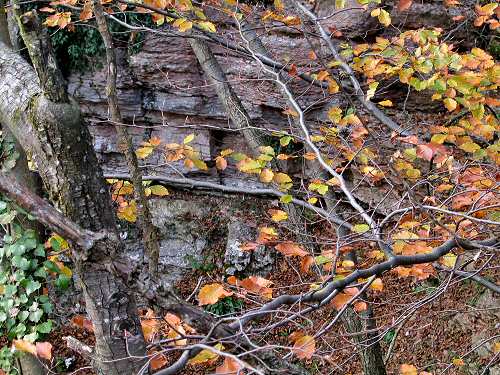 Stoccareddo di Gallio