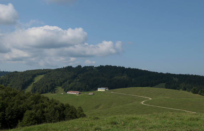 Stoccareddo di Gallio e i Tre Monti, Col del Rosso, Sasso di Asiago