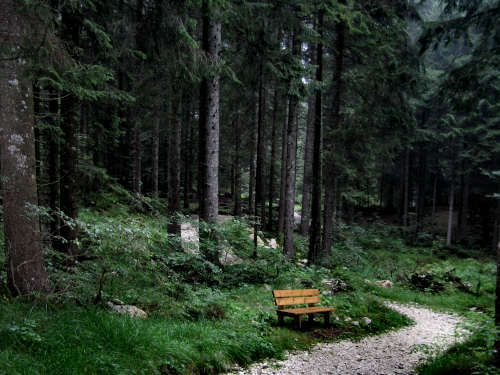 Sentiero didattico valle di Nos a Gallio