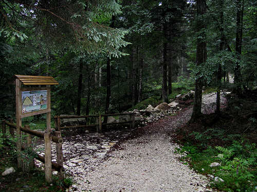 Sentiero didattico valle di Nos a Gallio