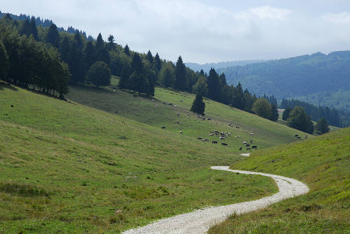 Gallio, Valbella Sisemol c.ra Stenfle val Melago