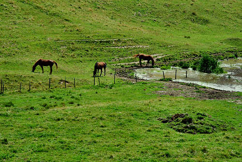 Gallio, Valbella Sisemol c.ra Stenfle val Melago