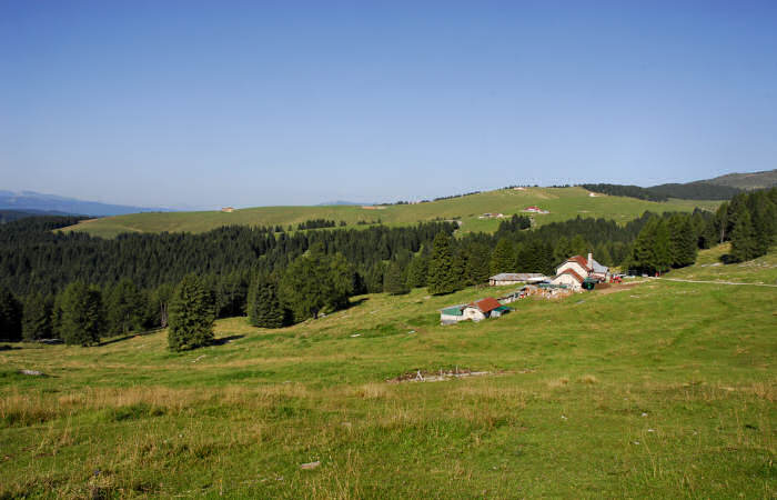 rifugio Larici, malga Larici, bocchetta Portule, monte Portule, cima Larici