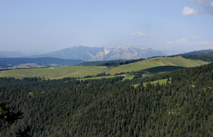 rifugio Larici, malga Larici, bocchetta Portule, monte Portule, cima Larici