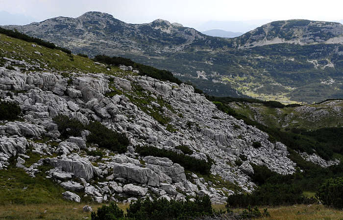 rifugio Larici, malga Larici, bocchetta Portule, monte Portule, cima Larici