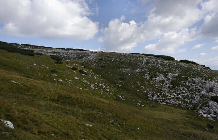 rifugio Larici, malga Larici, bocchetta Portule, monte Portule, cima Larici