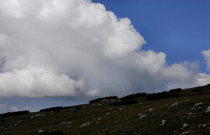 rifugio Larici, malga Larici, bocchetta Portule, monte Portule, cima Larici