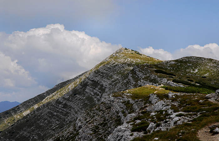 rifugio Larici, malga Larici, bocchetta Portule, monte Portule, cima Larici