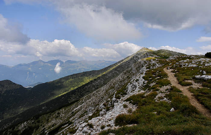 rifugio Larici, malga Larici, bocchetta Portule, monte Portule, cima Larici