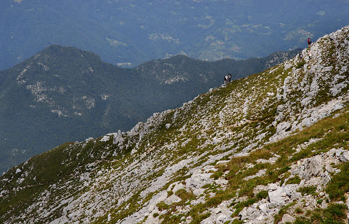 rifugio Larici, malga Larici, bocchetta Portule, monte Portule, cima Larici