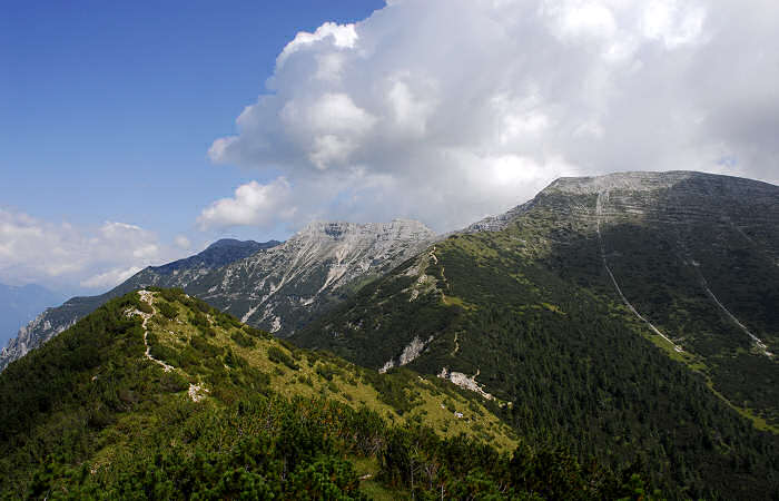 rifugio Larici, malga Larici, bocchetta Portule, monte Portule, cima Larici
