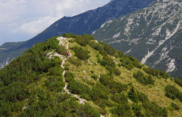 rifugio Larici, malga Larici, bocchetta Portule, monte Portule, cima Larici