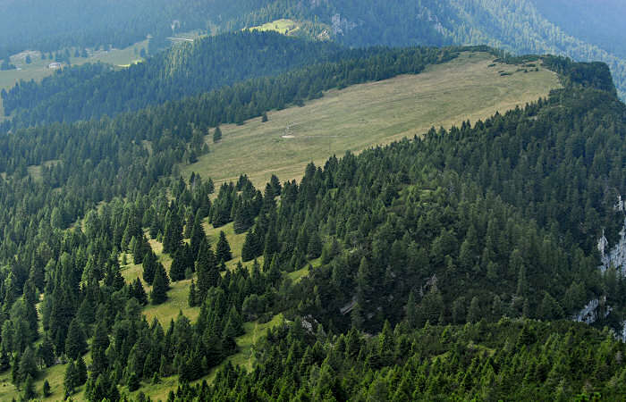 rifugio Larici, malga Larici, bocchetta Portule, monte Portule, cima Larici
