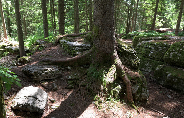 sentiero storico-naturalistico al monte Corno di Lusiana