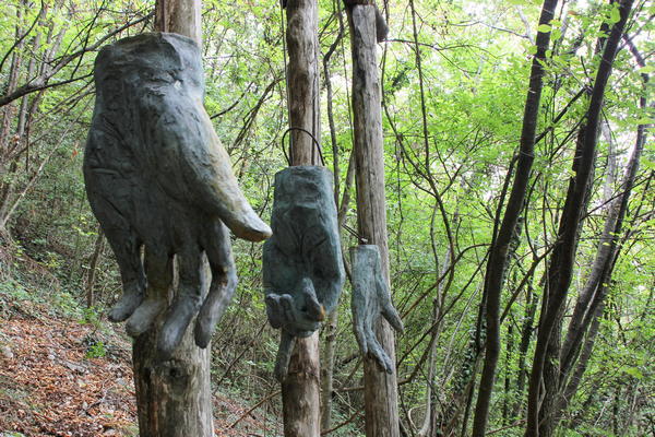 Parco del Sojo a Covolo di Lusiana, di Diego Morlin