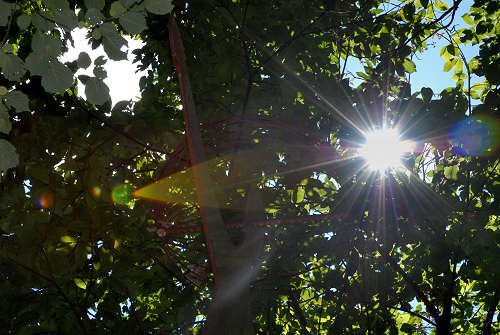 Parco del Sojo - Covolo di Lusiana