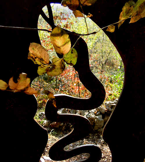 Parco del Sojo - Covolo di Lusiana