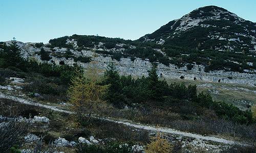 foto di cima della Caldiera - altopiano di Asiago 7 Comuni