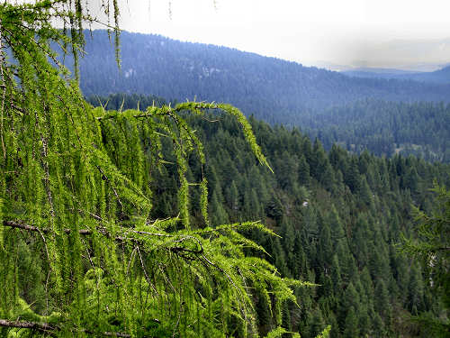zona monumentale del monte Lozze - altopiano di Asiago 7 Comuni