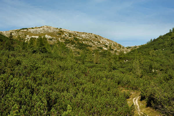 Lozze, Campi Lussi, Valle Agnella, monte Ortigara, chiesetta Lozze