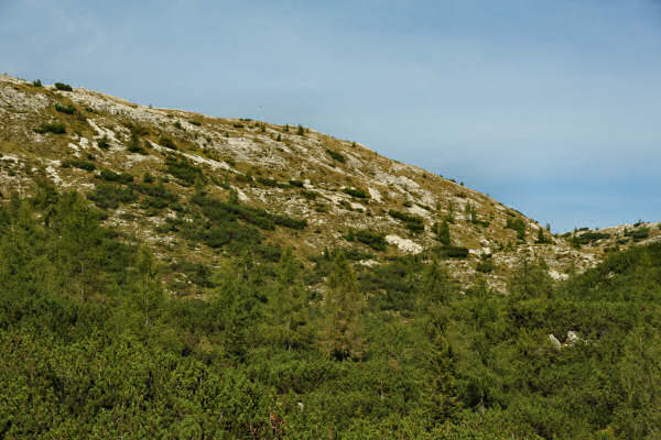 Lozze, Campi Lussi, Valle Agnella, monte Ortigara, chiesetta Lozze