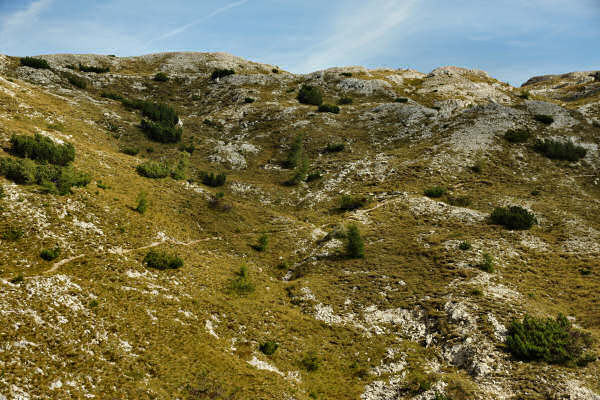 Lozze, Campi Lussi, Valle Agnella, monte Ortigara, chiesetta Lozze