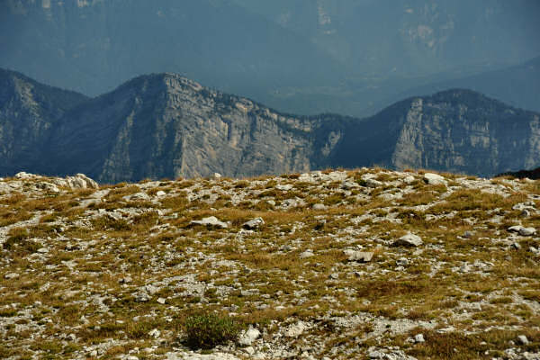 Lozze, Campi Lussi, Valle Agnella, monte Ortigara, chiesetta Lozze