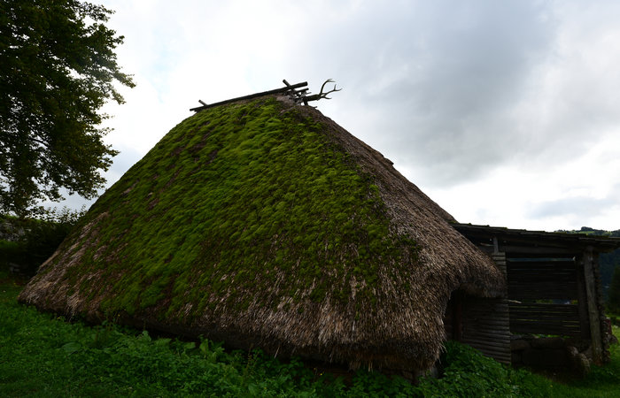 Sito archeologico del Bostel a Castelletto di Rotzo, Altopiano di Asiago Sette Comuni