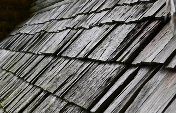 Sito archeologico del Bostel a Castelletto di Rotzo, Altopiano di Asiago Sette Comuni