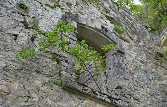 ex forte italiano di Cima Verena a Mezzaselva di Roana, Altopiano di Asiago