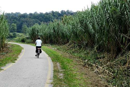 ciclabile del Mincio, Mantova Borghetto Peschiera Garda