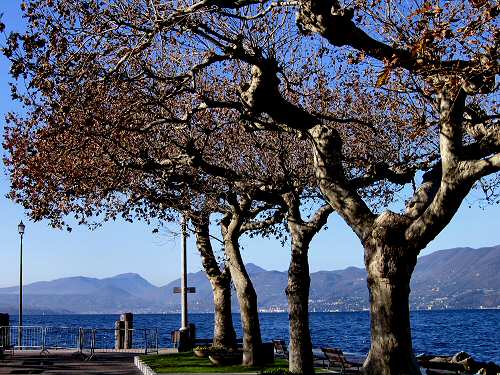 Torri del Benaco - Lago di Garda