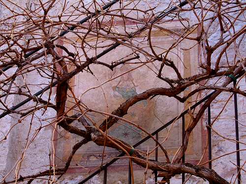 Torri del Benaco - Lago di Garda