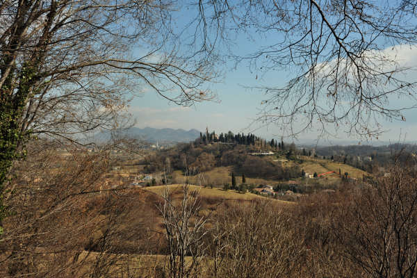 Colli Ezzelini, Parco Ezzelini San Zenone degli Ezzelini