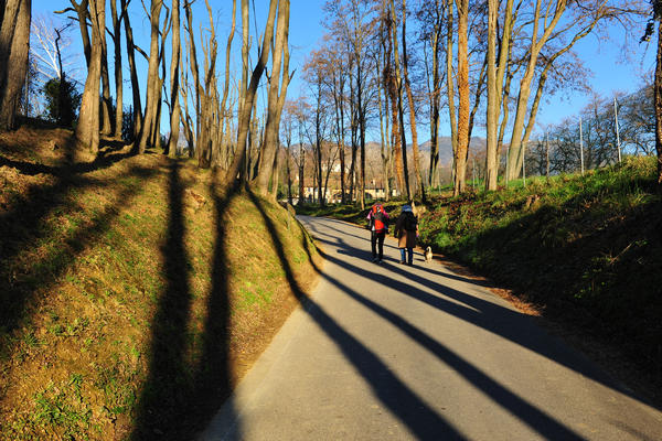 Sentieri Natura a Mussolente