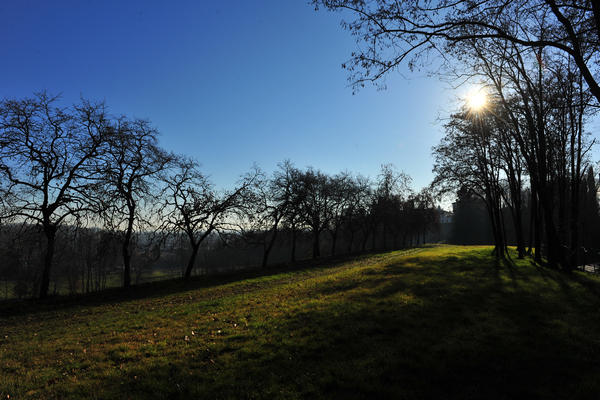 Sentieri Natura a Mussolente