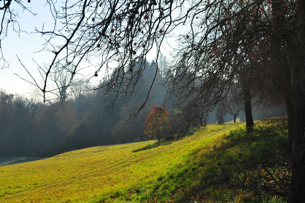 Sentieri Natura a Mussolente