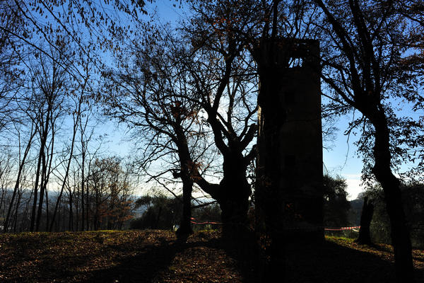 Sentieri Natura a Mussolente