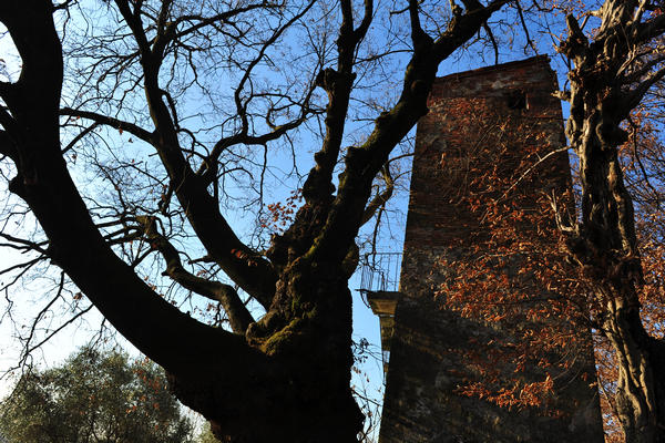 Sentieri Natura a Mussolente