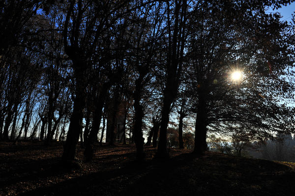 Sentieri Natura a Mussolente