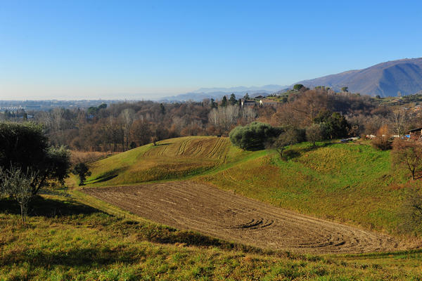 Sentieri Natura a Mussolente