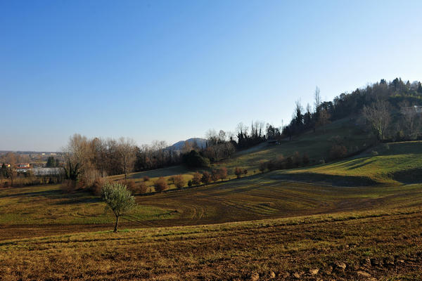 Sentieri Natura a Mussolente