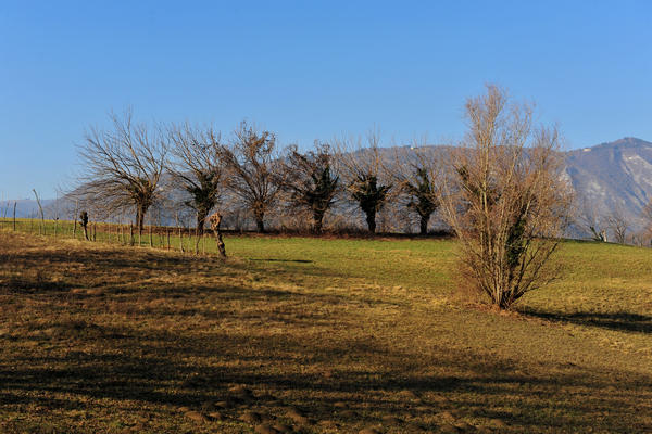 Sentieri Natura a Mussolente