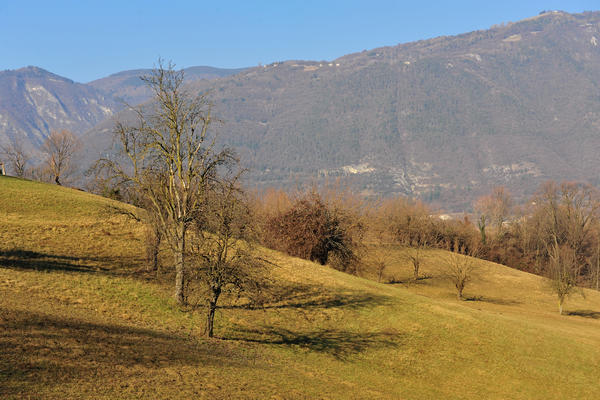 Sentieri Natura a Mussolente